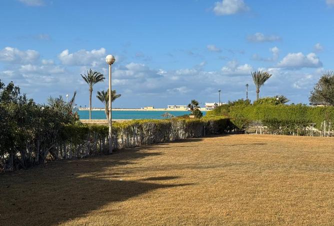 57736265 - صورة العقار 3