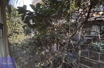 Apartment - 3 Bedrooms - 3 Bathrooms for rent in Street 11 - Maadi - Hay El Maadi - Cairo