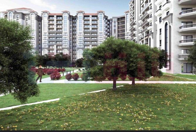 56001491 - Property Image 3