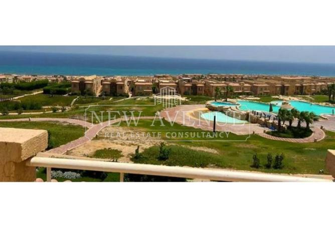 97713150 - Property Image 2