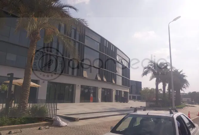 117267658 - صورة العقار 3