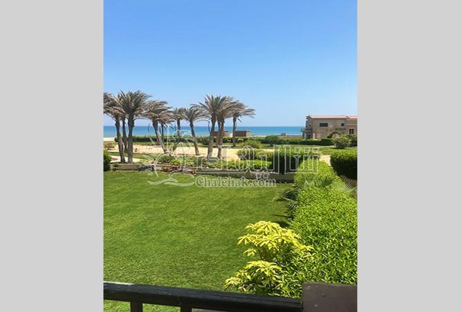 8673048 - صورة العقار 2