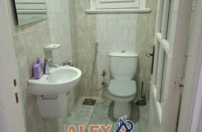 Apartment - 2 Bedrooms - 2 Bathrooms for rent in Al Shaheed Galal El Desouky St. - Waboor Elmayah - Hay Wasat - Alexandria