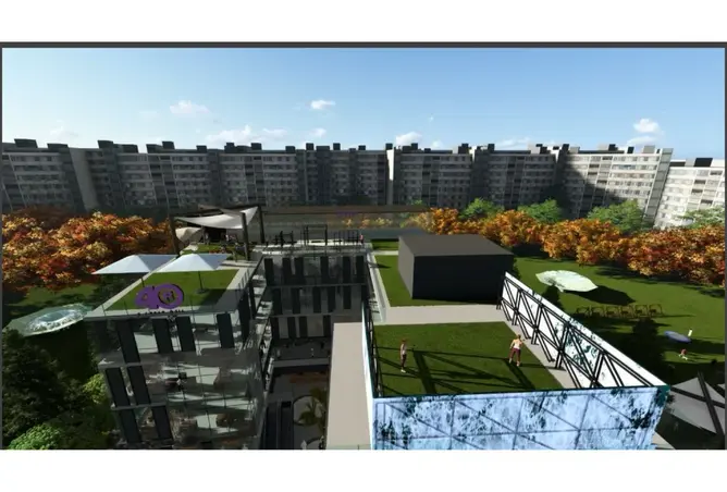119069350 - Property Image 3