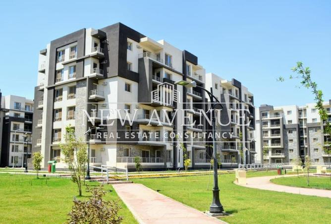 8648185 - Property Image 2