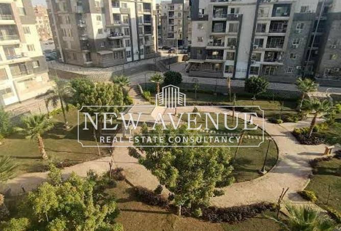 8648185 - Property Image 3