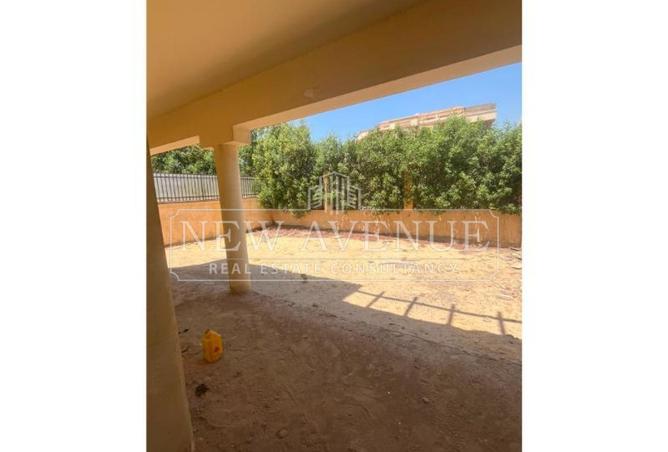 100916729 - Property Image 3