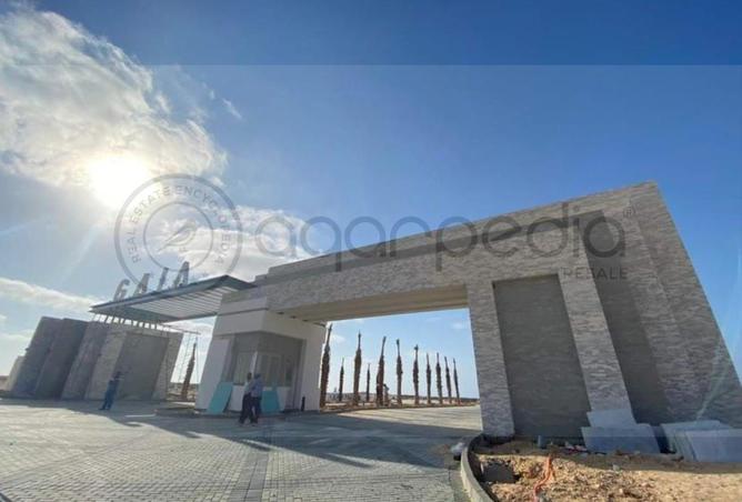 74594053 - Property Image 2