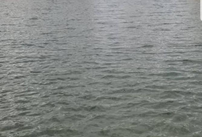 58735435 - صورة العقار 2