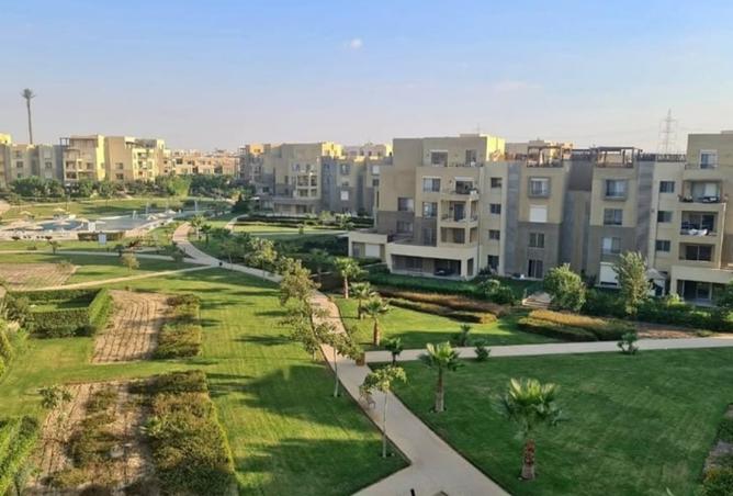 8511416 - Property Image 2