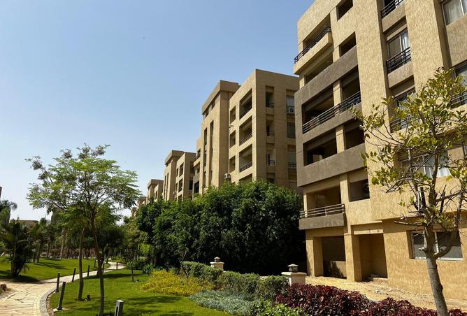99395946 - Property Image 3