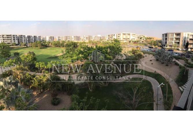 101207494 - صورة العقار 3