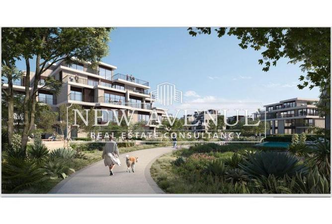 56752348 - صورة العقار 3