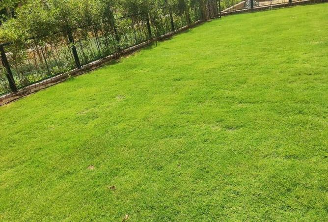 64393120 - Property Image 3