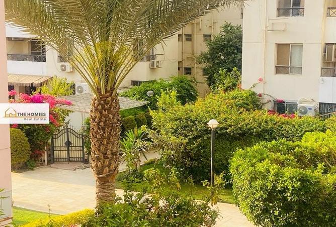 53986961 - صورة العقار 3