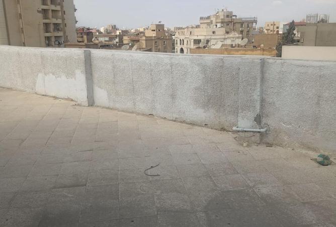 55510553 - Property Image 3