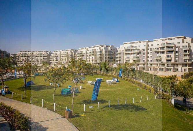 74308378 - Property Image 3