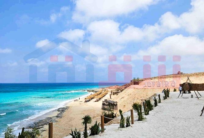 83393726 - صورة العقار 3