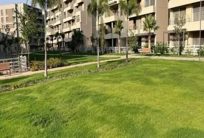 64132843 - Property Image 3