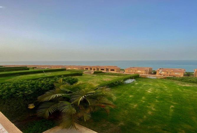 68004175 - Property Image 3