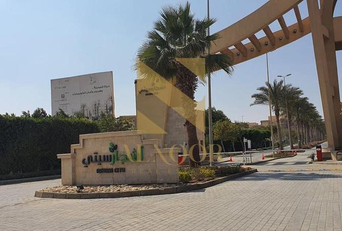 8581984 - Property Image 3