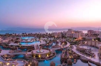 شاليه - غرفة نوم - 1 حمام للبيع في مانجروفي ريزيدنس - الجونة - الغردقة - محافظة البحر الاحمر شاليه - غرفة نوم - 1 حمام للبيع في مانجروفي ريزيدنس - الجونة - الغردقة - محافظة البحر الاحمر