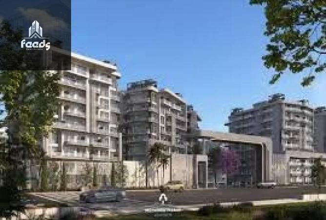 77329553 - Property Image 3