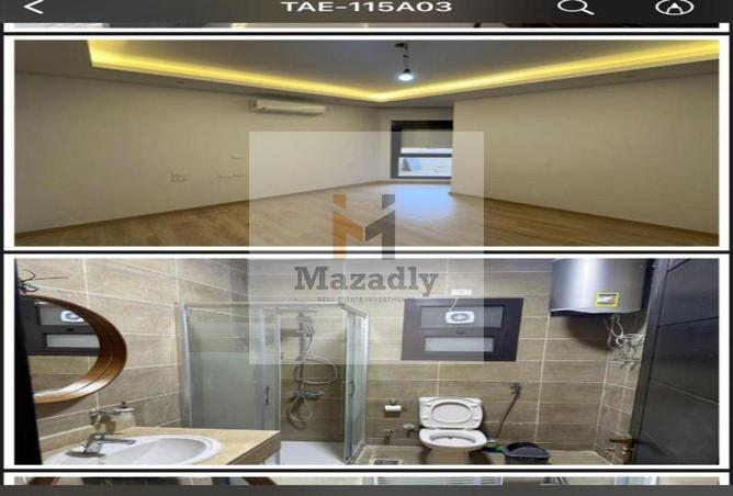 70371693 - Property Image 2