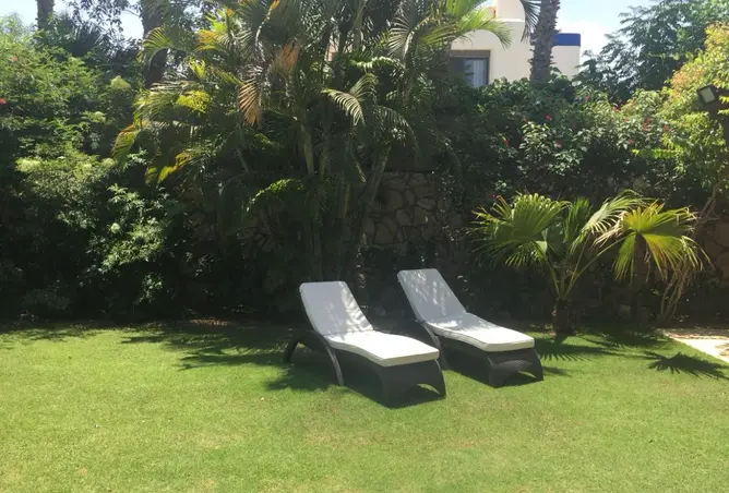 118797289 - Property Image 3