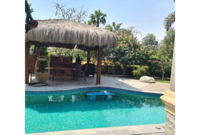 8589991 - Property Image 3