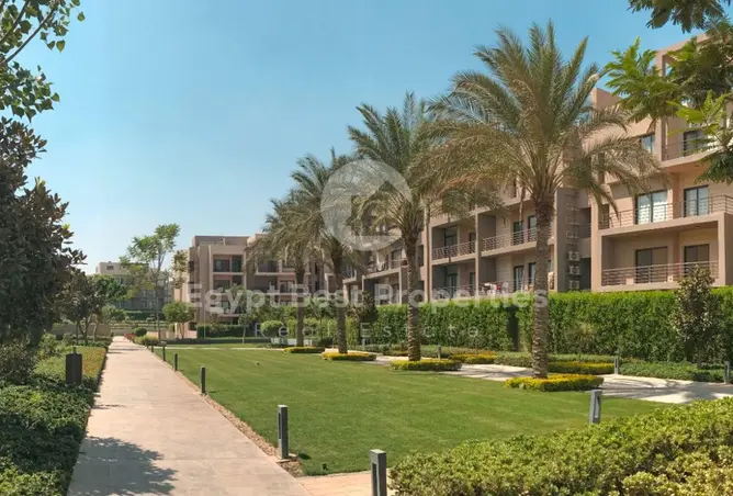 113826136 - صورة العقار 3