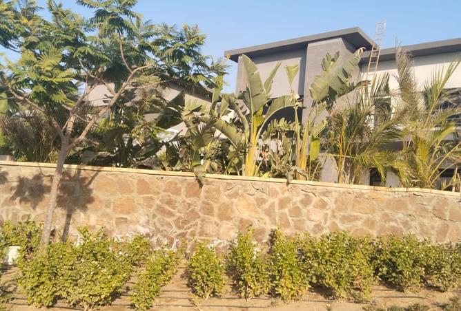 99407819 - Property Image 2