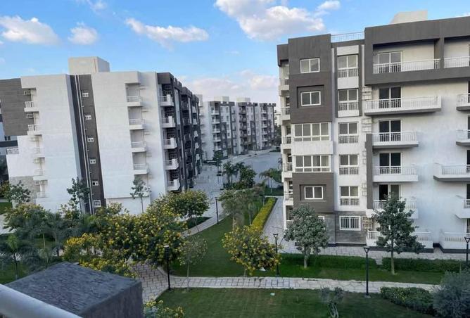 8552296 - Property Image 3