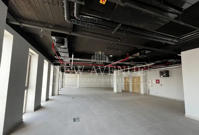 113249551 - Property Image 3