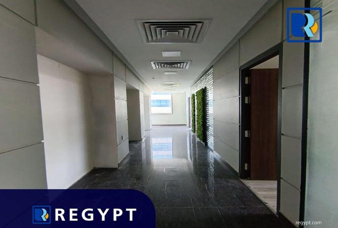 90166552 - Property Image 3