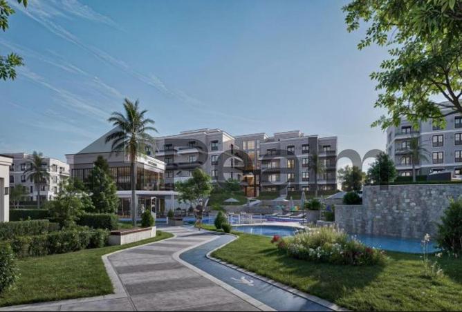 8516634 - Property Image 3