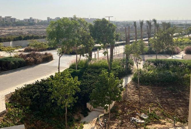 71648726 - الصورة الرئيسية للعقار