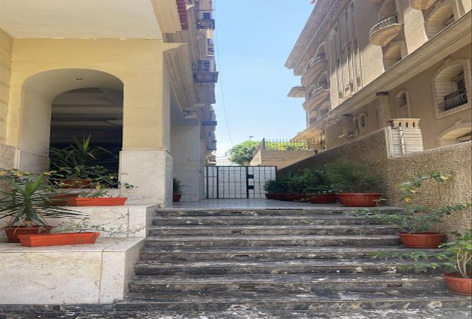 66436725 - Property Image 3