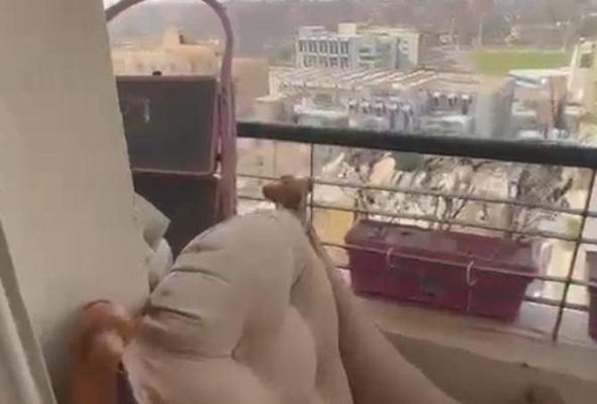 55510825 - Property Image 3