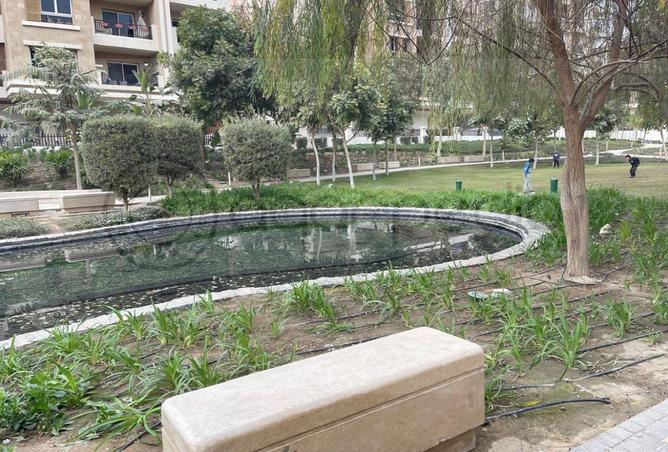 62651584 - صورة العقار 3