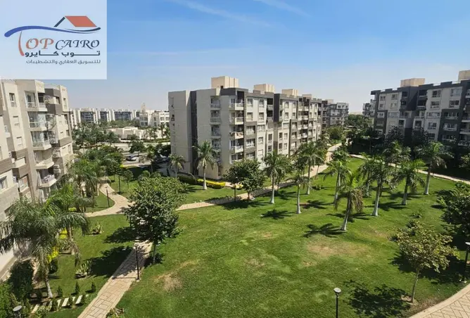 113801297 - صورة العقار 3