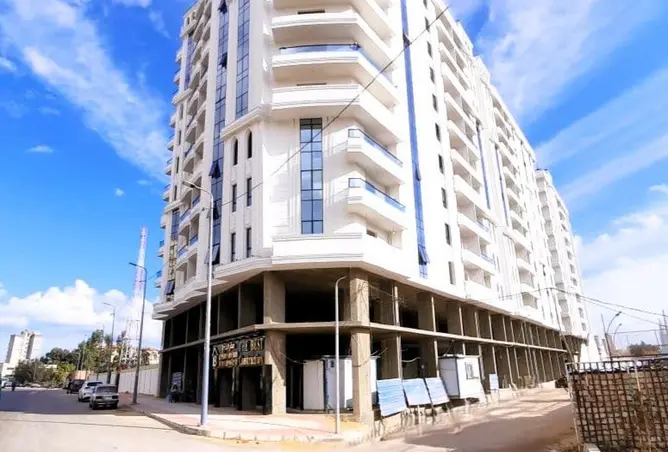 113823541 - Property Image 2