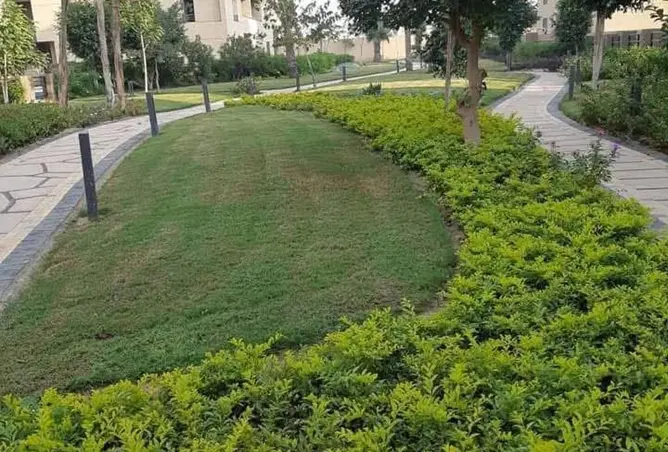114898473 - صورة العقار 3