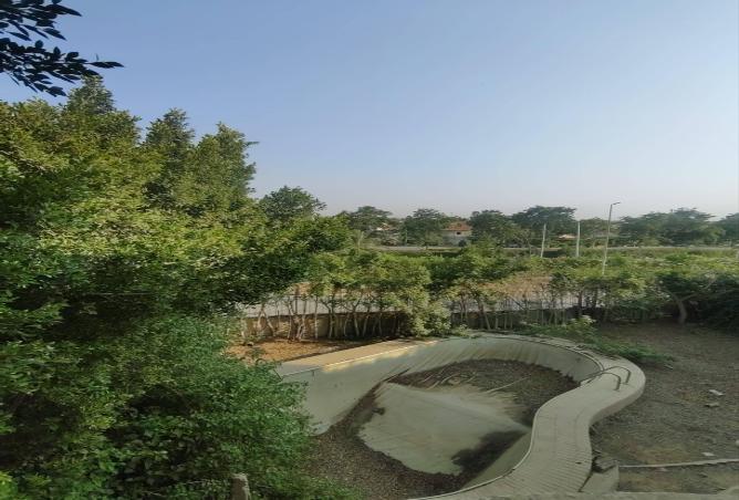 77599183 - Property Image 3