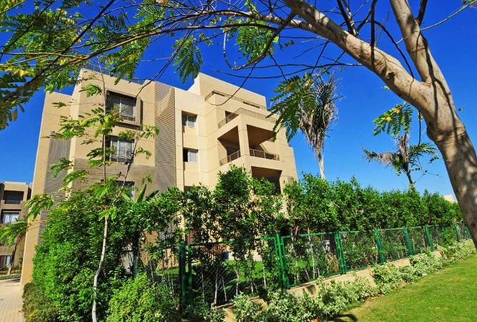 53980931 - Property Image 2