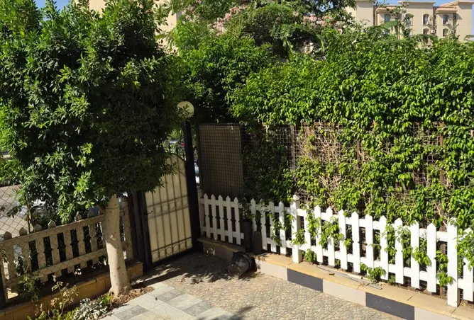 110754234 - Property Image 3