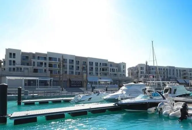 116754937 - صورة العقار 2