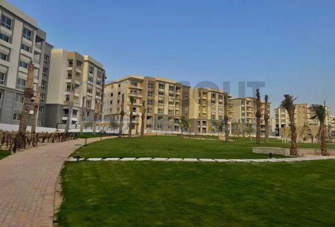 99102641 - Property Image 3