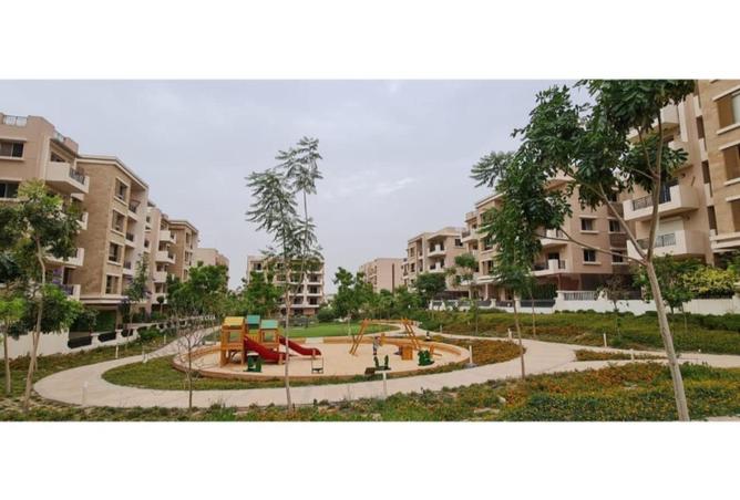 64390584 - Property Image 3