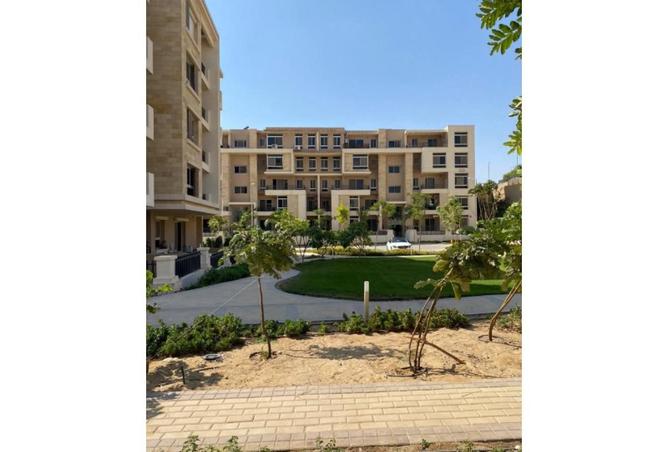 64390584 - Property Image 2